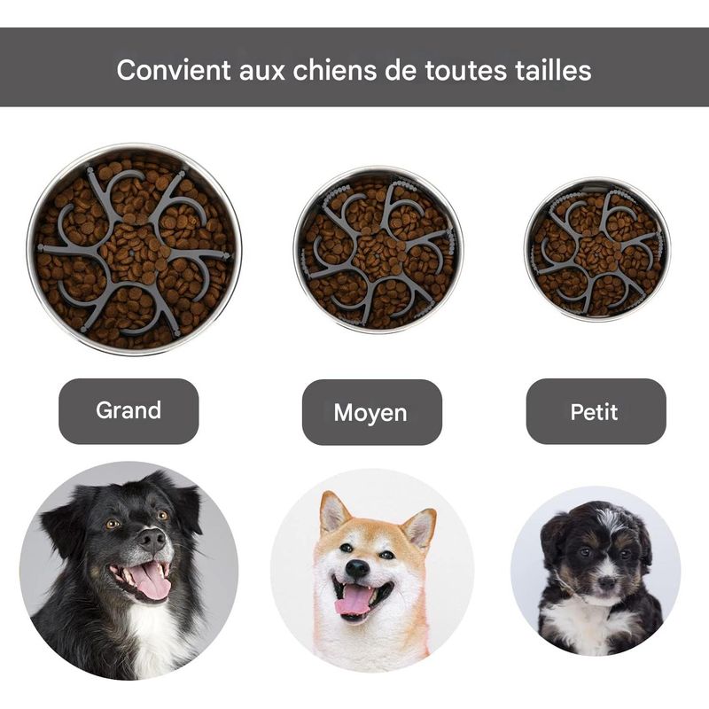 Pet Planet Gamelles slow food pour chien