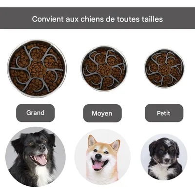 Pet Planet Gamelles slow food pour chien