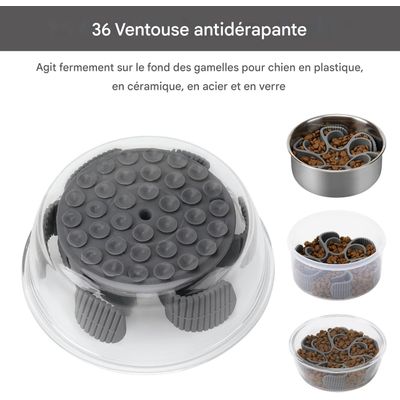 Pet Planet Gamelles slow food pour chien