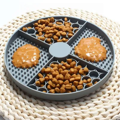 Pet Planet 2 en 1 bol d'alimentation lent pour chiens