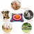 Tapis de Chien Snuffle Mat, Tapis éducateurs pour Chiens Dog