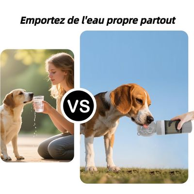 Pet Planet Bouteille d'eau de voyage pour chien
