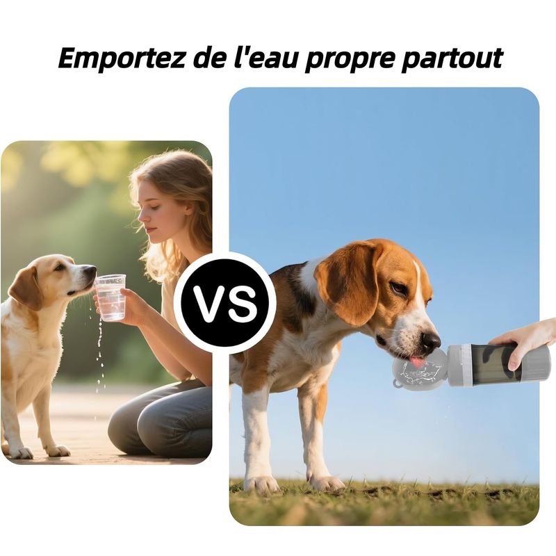 Pet Planet Bouteille d'eau de voyage pour chien