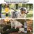 Pet Planet Bouteille d'eau de voyage pour chien