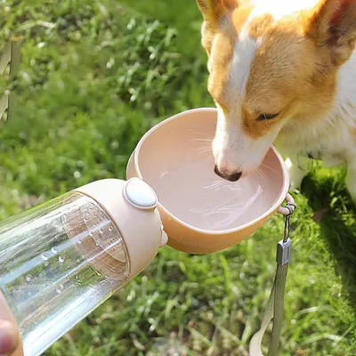 Pet Planet Botella de agua de viaje para perros
