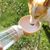 Pet Planet Bouteille d'eau de voyage pour chien