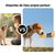 Pet Planet Bouteille d'eau de voyage pour chien