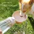 Petopia Bouteille pour chien
