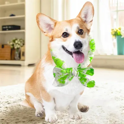 IntiMeg Collier rafraîchissant pour chien