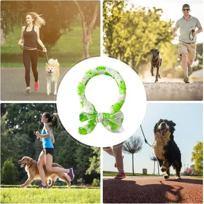 IntiMeg Collier rafraîchissant pour chien