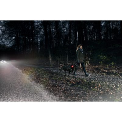 ORBILOC Lampe de securite pour chien Dog Dual - JAUNE