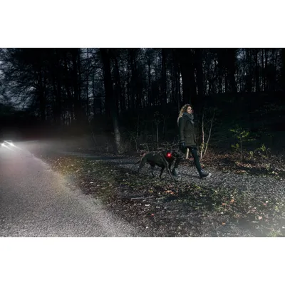 ORBILOC Lampe de securite pour chien Dog Dual - JAUNE