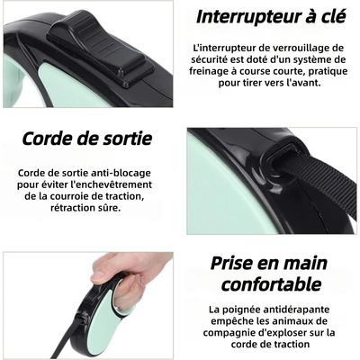 ZooVenture 360° extensible Laisse rétractable pour Chien
