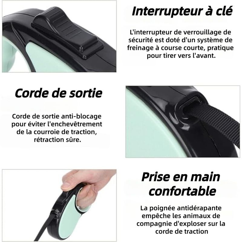 ZooVenture 360° extensible Laisse rétractable pour Chien