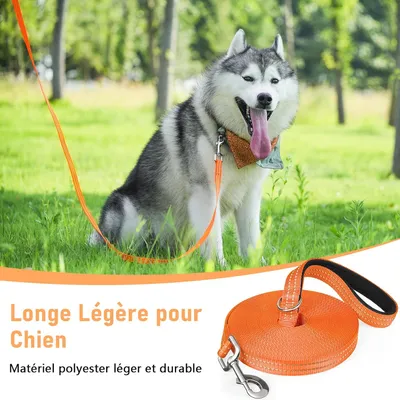 X XBEN Corde légère pour chien