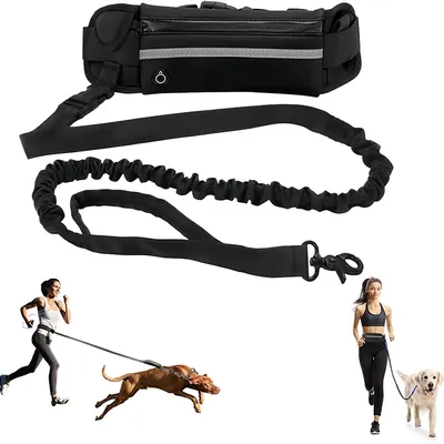FurryFusion Laisse main libre pour chien
