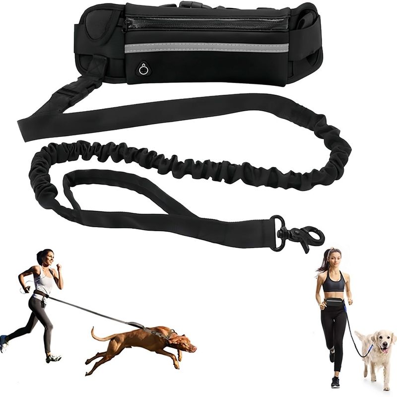 FurryFusion Laisse main libre pour chien