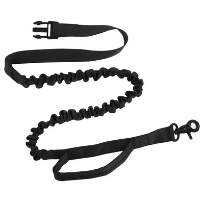 FurryFusion Laisse main libre pour chien