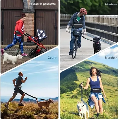 FurryFusion Laisse main libre pour chien