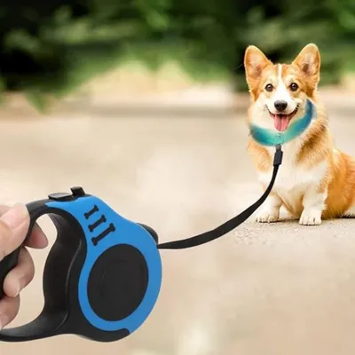 ZooVenture 5m formation marche enrouleur laisse pour chien