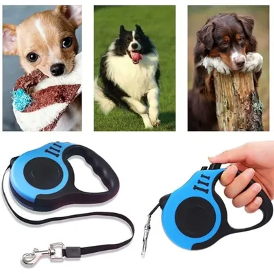 ZooVenture 5m formation marche enrouleur laisse pour chien