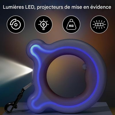 ZooVenture Laisse rétractable LED 3m pour chien