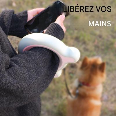 ZooVenture Laisse rétractable LED 3m pour chien