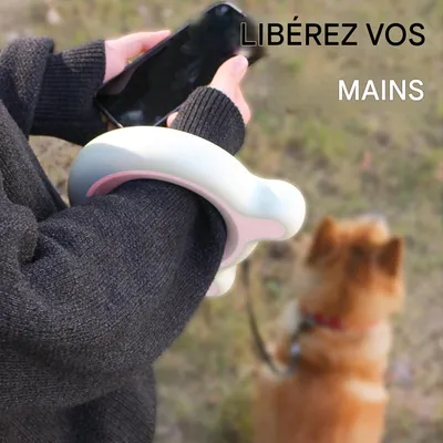 ZooVenture Laisse rétractable LED 3m pour chien