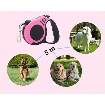 ZooVenture 5m formation marche enrouleur laisse pour chien