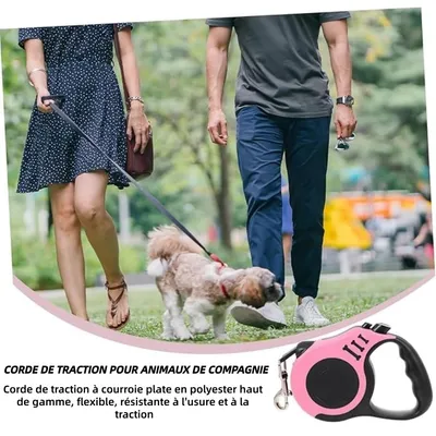 ZooVenture 5m formation marche enrouleur laisse pour chien