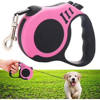 ZooVenture 5m formation marche enrouleur laisse pour chien