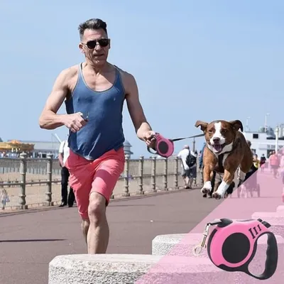 ZooVenture 5m formation marche enrouleur laisse pour chien