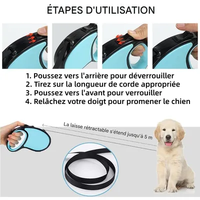 ZooVenture 360° extensible Laisse rétractable pour Chien