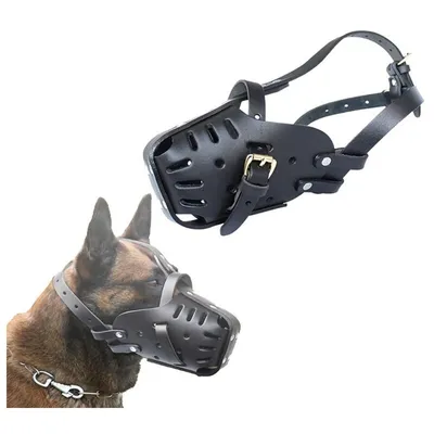 Muselières pour Animaux de Compagnie,Cuir Fait à,Chiens Moyenne et Grande Muselières pour Animaux de Compagnie,Cuir Fait à,Chiens Moyenne et Grande