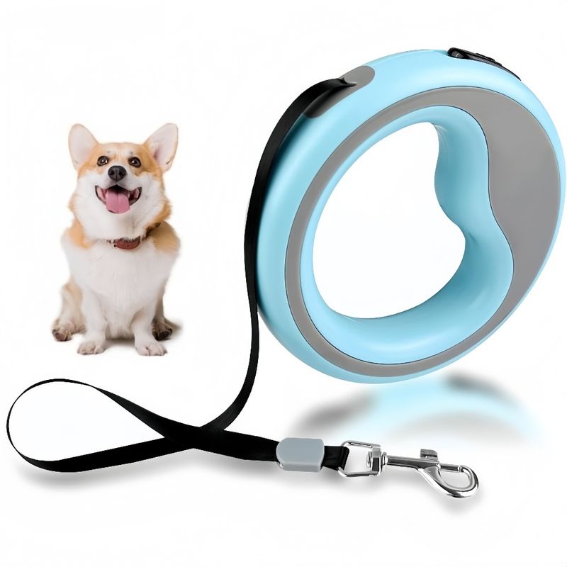 ZooVenture Laisse 250cm petite moyenne taille pour chien