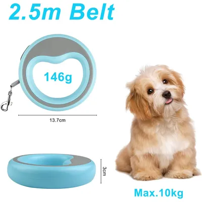 ZooVenture Laisse 250cm petite moyenne taille pour chien