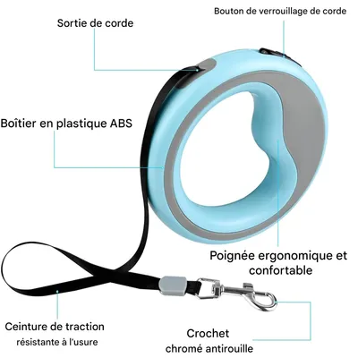 Pet Planet ZooVenture Laisse 250cm petite moyenne taille pour chien