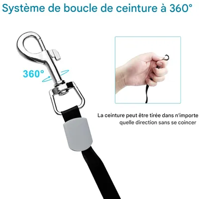 Pet Planet ZooVenture Laisse 250cm petite moyenne taille pour chien