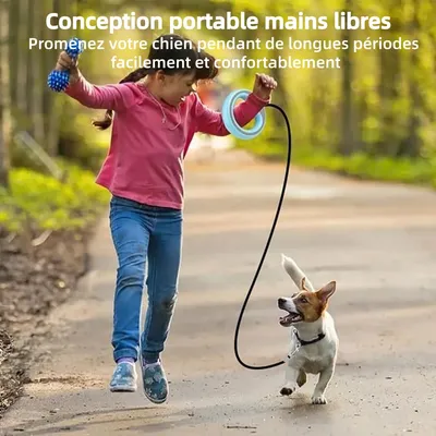 ZooVenture Laisse 250cm petite moyenne taille pour chien