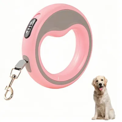 Pet Planet ZooVenture Laisse 250cm petite moyenne taille pour chien