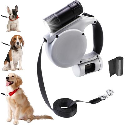 ZooVenture Laisse enroulable lampe intégrée 5m chien