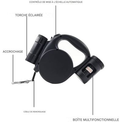 ZooVenture Laisse enroulable lampe intégrée 5m chien