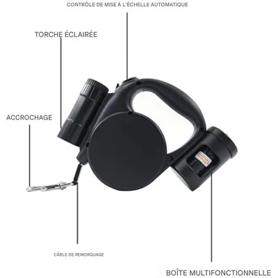 ZooVenture Laisse enroulable lampe intégrée 5m chien