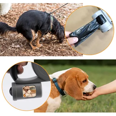 ZooVenture Laisse enroulable lampe intégrée 5m chien