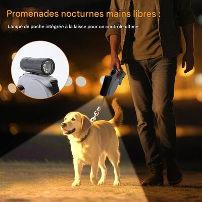 ZooVenture Laisse enroulable lampe intégrée 5m chien