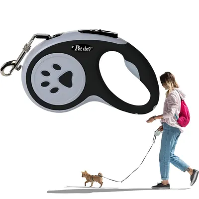 Pet Planet ZooVenture Laisse 5m rotative 360° pour chien