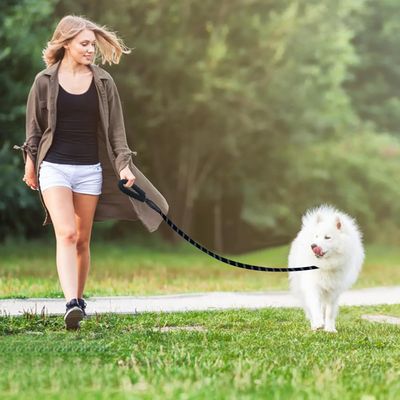 LovuPet 1,5 m lange Hundeleine, Nylonseil-Hundeleine mit gepolstertem Griff