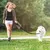 1.5m Laisse pour Chien,Laisse Corde Chien en Nylon avec Poignée Rembourrée