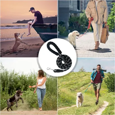 1.5m Laisse pour Chien,Laisse Corde Chien en Nylon avec Poignée Rembourrée