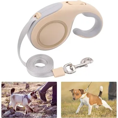 ZooVenture 5m 360° sans emmêlement nylon enrouleur laisse pour chien 30kg